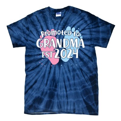 Cute Promoted To Grandma Est 2024 Tie-Dye T-Shirt