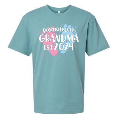 Cute Promoted To Grandma Est 2024 Sueded Cloud Jersey T-Shirt