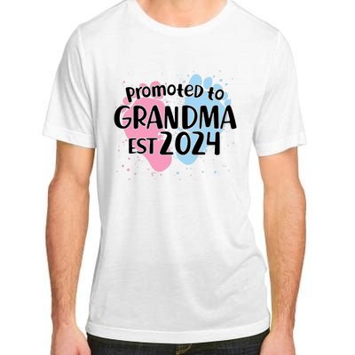 Cute Promoted To Grandma Est 2024 Adult ChromaSoft Performance T-Shirt