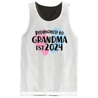 Cute Promoted To Grandma Est 2024 Mesh Reversible Basketball Jersey Tank