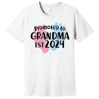 Cute Promoted To Grandma Est 2024 Premium T-Shirt