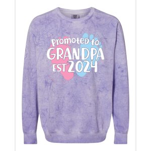 Cute Promoted To Grandpa Est 2024 Colorblast Crewneck Sweatshirt