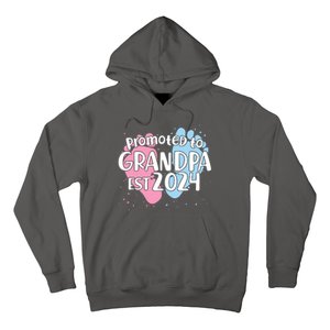 Cute Promoted To Grandpa Est 2024 Hoodie