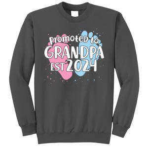 Cute Promoted To Grandpa Est 2024 Tall Sweatshirt