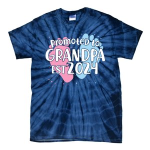 Cute Promoted To Grandpa Est 2024 Tie-Dye T-Shirt