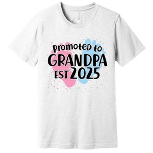 Cute Promoted To Grandpa Est 2025 Premium T-Shirt