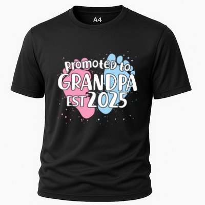 Cute Promoted To Grandpa Est 2025 Performance Shirt