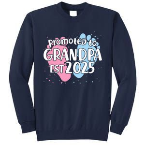 Cute Promoted To Grandpa Est 2025 Tall Sweatshirt