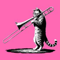 Cat Playing Trombone Player Trombonist Instrument Stripe Pom Pom Beanie