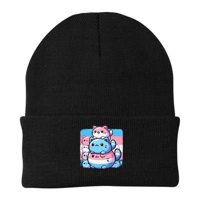 Cat Pile Trans Pride Transgender Day Of Visibility Beanie