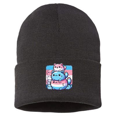Cat Pile Trans Pride Transgender Day Of Visibility Sustainable Knit Beanie