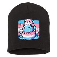 Cat Pile Trans Pride Transgender Day Of Visibility Short Acrylic Beanie