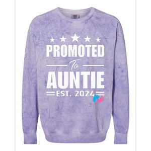 Cute Promoted To Aunt 2024 Funny Gender Reveal Pink Or Blue Colorblast Crewneck Sweatshirt