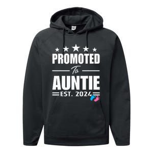 Cute Promoted To Aunt 2024 Funny Gender Reveal Pink Or Blue Performance Fleece Hoodie