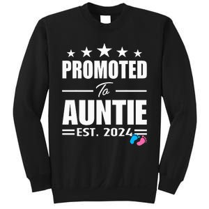 Cute Promoted To Aunt 2024 Funny Gender Reveal Pink Or Blue Sweatshirt