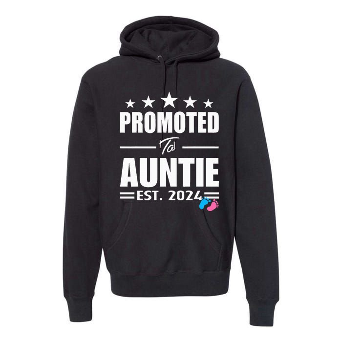 Cute Promoted To Aunt 2024 Funny Gender Reveal Pink Or Blue Premium Hoodie