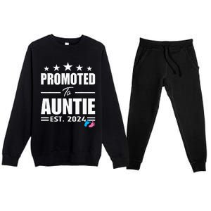 Cute Promoted To Aunt 2024 Funny Gender Reveal Pink Or Blue Premium Crewneck Sweatsuit Set