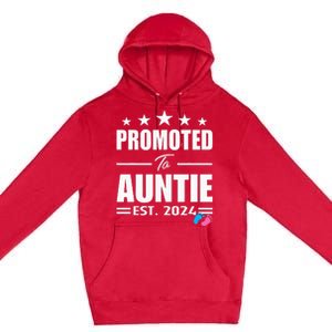 Cute Promoted To Aunt 2024 Funny Gender Reveal Pink Or Blue Premium Pullover Hoodie