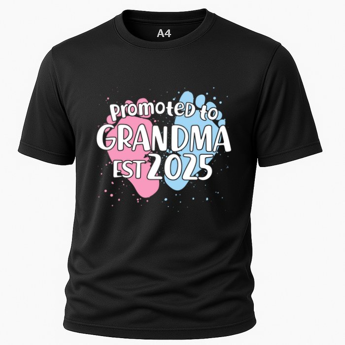 Cute Promoted To Grandpa Est 2025 Cooling Performance Crew T-Shirt