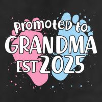 Cute Promoted To Grandpa Est 2025 Adult Drive Performance Visor