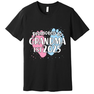 Cute Promoted To Grandpa Est 2025 Premium T-Shirt