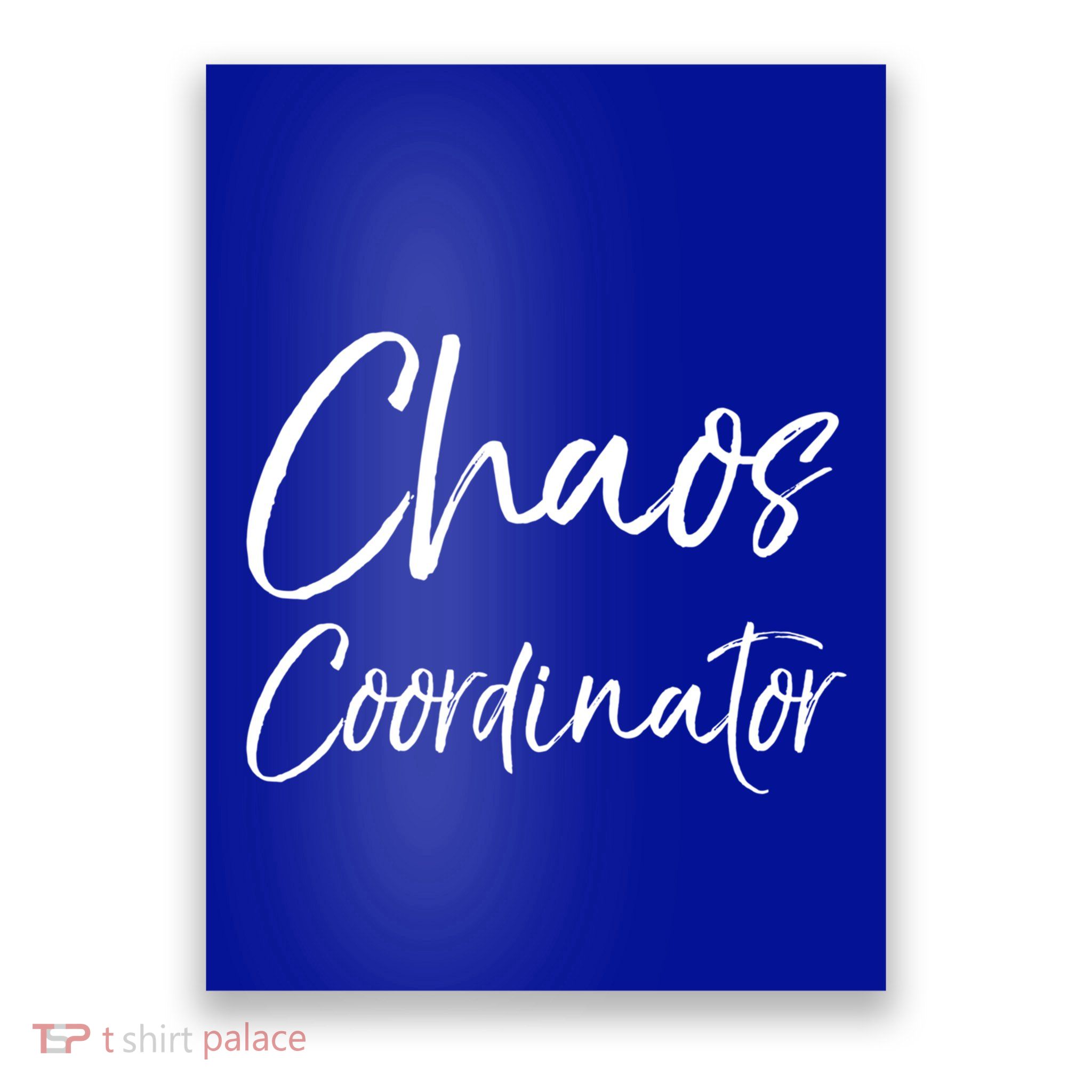 Cute Preschool Teacher Gift Chaos Coordinator Great Gift Poster