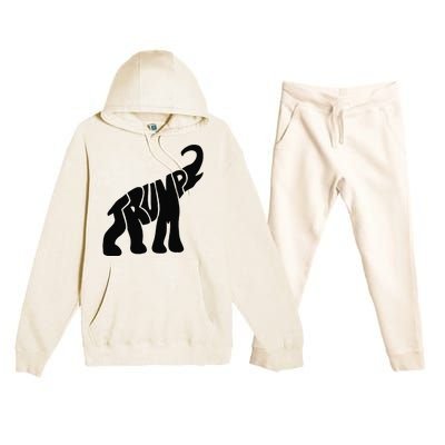 Cute Pro Trump Elephant Gift Premium Hooded Sweatsuit Set