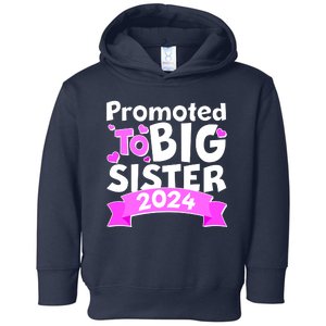 Cute Promoted To Big Sister 2024 Toddler Hoodie