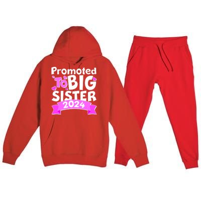 Cute Promoted To Big Sister 2024 Premium Hooded Sweatsuit Set