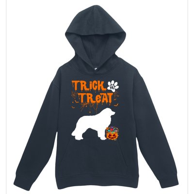 Cute Pyrenees Trick Or Treat Halloween Dog Lover Gift Urban Pullover Hoodie