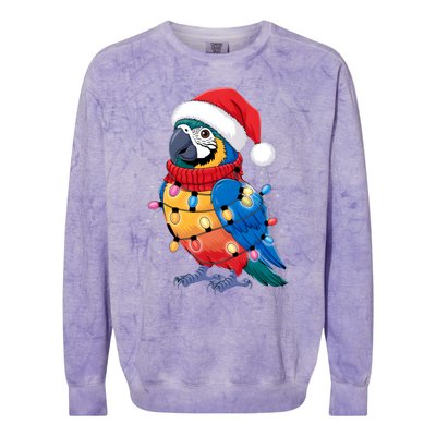 Christmas Parrots Wearing Santa Hat Xmas Light Cool Gift Colorblast Crewneck Sweatshirt