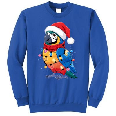 Christmas Parrots Wearing Santa Hat Xmas Light Cool Gift Sweatshirt