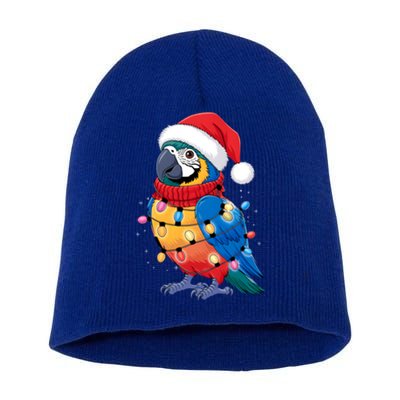 Christmas Parrots Wearing Santa Hat Xmas Light Cool Gift Short Acrylic Beanie