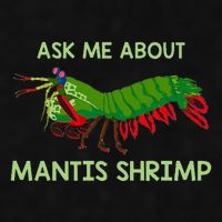 Crustacean Quote Ask Me About Mantis Shrimp Ladies PosiCharge Tri-Blend Wicking Tank