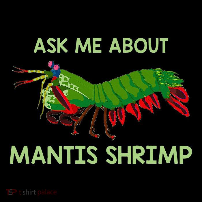 Crustacean Quote Ask Me About Mantis Shrimp Hoodie