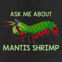 Crustacean Quote Ask Me About Mantis Shrimp Beanie