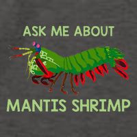 Crustacean Quote Ask Me About Mantis Shrimp Vector Backpack