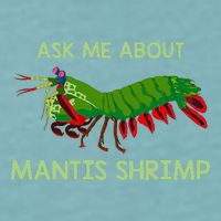 Crustacean Quote Ask Me About Mantis Shrimp Sueded Cloud Jersey T-Shirt