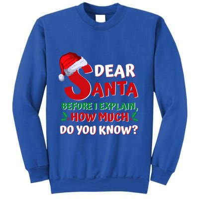 Christmas Quotes Funny Dear Santa I Can Explain Gift Sweatshirt