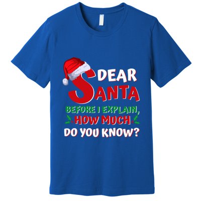 Christmas Quotes Funny Dear Santa I Can Explain Gift Premium T-Shirt