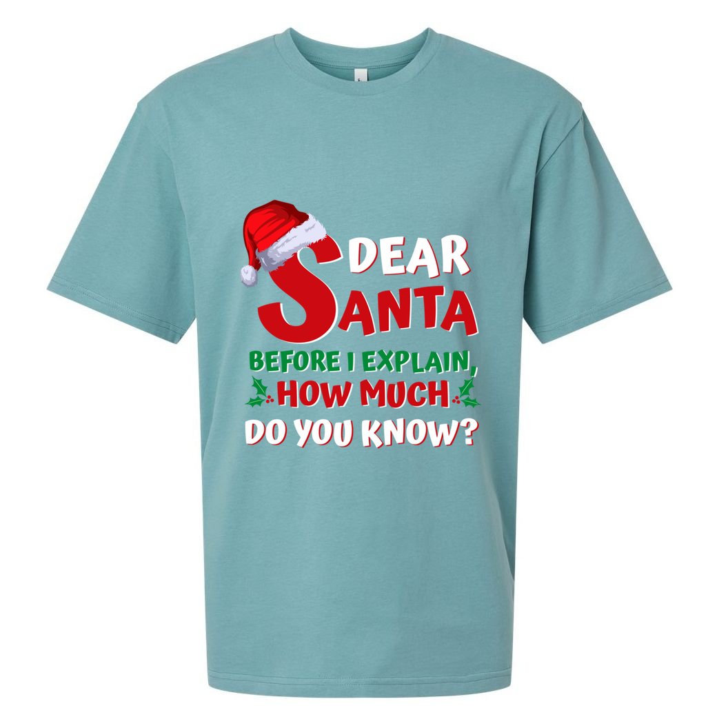 Christmas Quotes Funny Dear Santa I Can Explain Gift Sueded Cloud Jersey T-Shirt