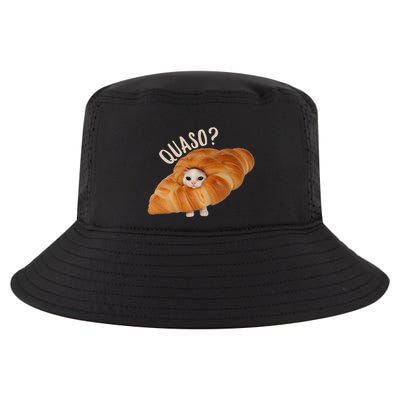 Croissant Quasocat Meme For Women Vintage Croissant Cat Meme Cool Comfort Performance Bucket Hat