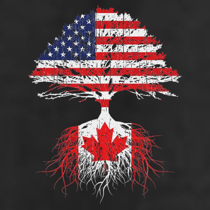 Canadian Roots American Grown Canada Flag 7 Panel Mesh Trucker Snapback Hat