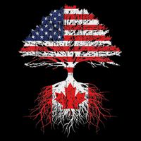 Canadian Roots American Grown Canada Flag Womens T-Shirt