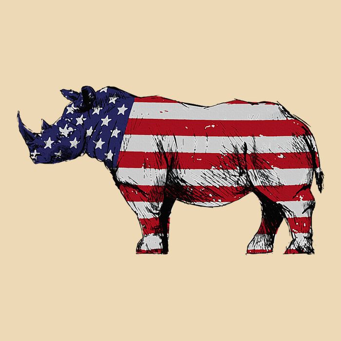 Cool Rhino Art Rhinoceros Usa Flag Drawstring Bag