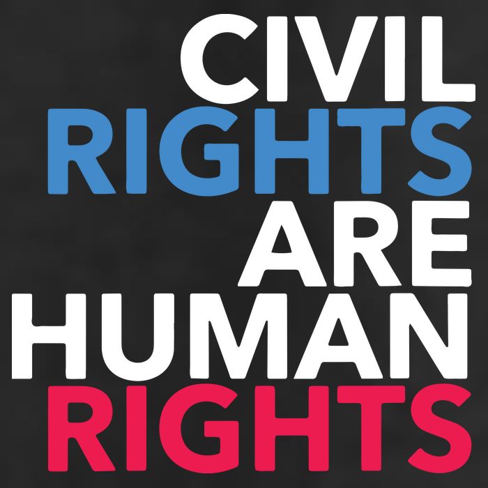 Civil Rights Are Human Rights Premium 7 Panel Mesh Trucker Snapback Hat