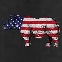 Cool Rhino Art For Rhinoceros 4th Of July USA Flag 11oz C Handle Ceramic Mug