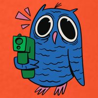 Crazy Owl Gun T-Shirt