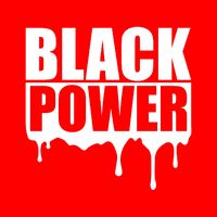 Civil Rights Black Power Fist African Pride 16 in Basic Backpack
