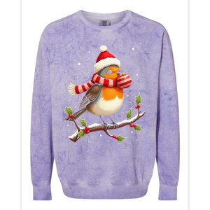 Cute Robin Bird Christmas Bird Watching Lover Xmas Watcher Colorblast Crewneck Sweatshirt